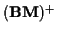 $({\bf B M})^+$
