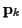 ${\bf p}_k$