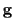 $\displaystyle {\bf g}$