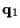 $\displaystyle {\bf {q}}_1$