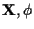 ${\bf X}, \phi$