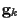 $\displaystyle {\bf g}_k$