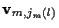 ${\bf v}_{m,j_m (l)}$