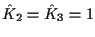 $\hat{K}_2 = \hat{K}_3 = 1$