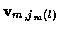 ${\bf v}_{m,j_m (l)}$