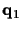 $\displaystyle {\bf q}_1$