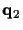 $\displaystyle {\bf {q}}_2$