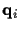 $\displaystyle {\bf {q}}_i$