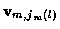 ${\bf v}_{m,j_m (l)}$