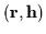 $({\bf r},{\bf h})$